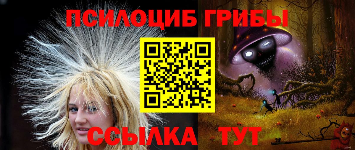 Маркс  Псилоцибиновые грибы мицелий  Вход с VPN  Галлюциногенные грибы Cubensis 